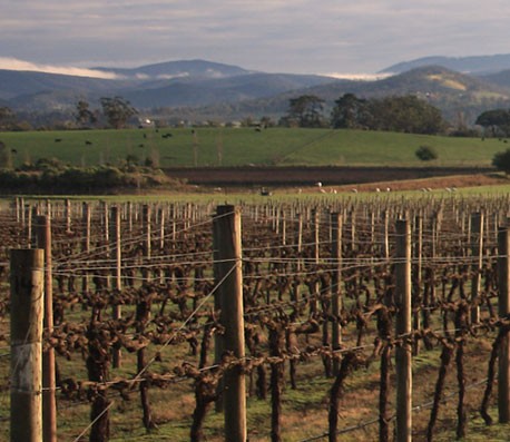 泡泡短信压力测试官网